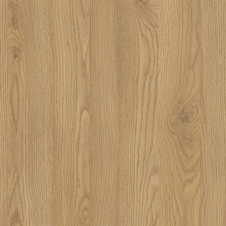 Dąb słoneczny D4033 OW