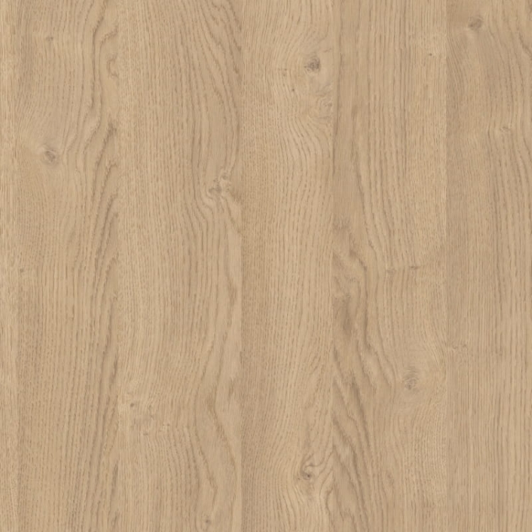 KR Dąb biszkoptowy D4032