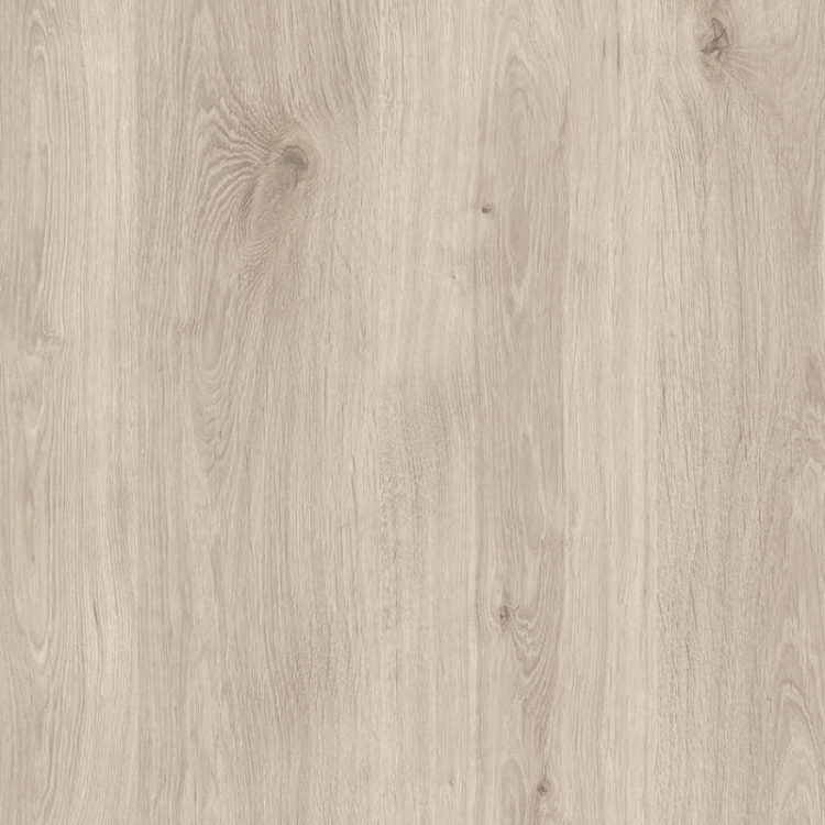 KR Dąb beżowy D4430