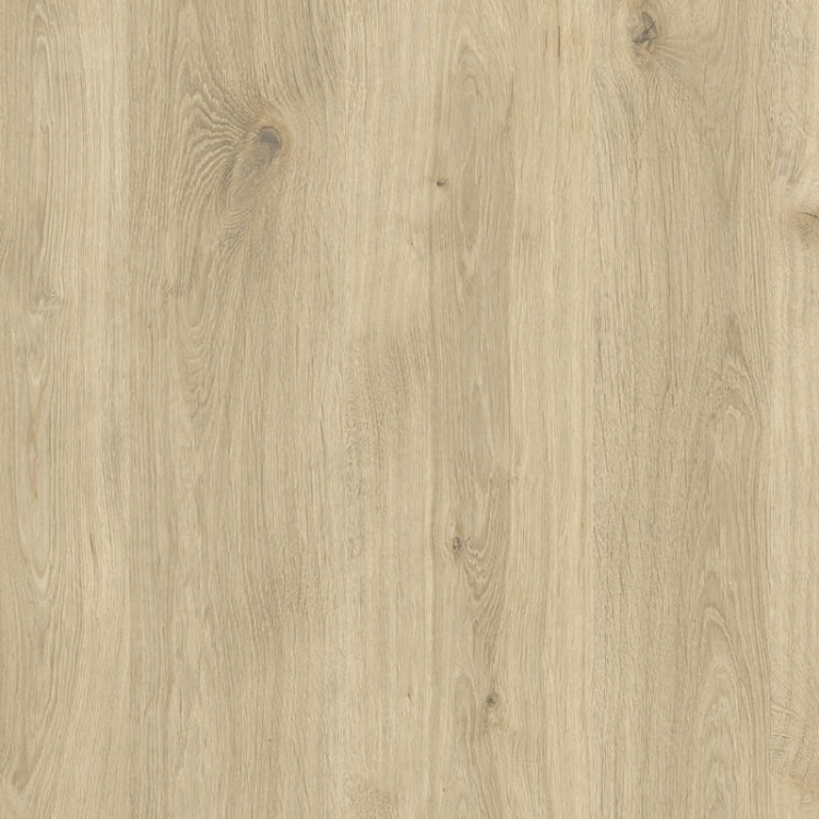 KR Dąb naturalny D4428