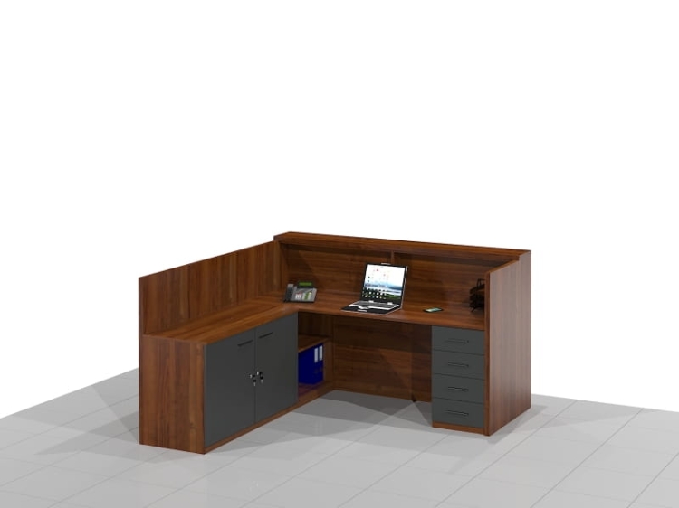 Lada recepcyjna LAMO-DRG-NRX (wersja lewa)