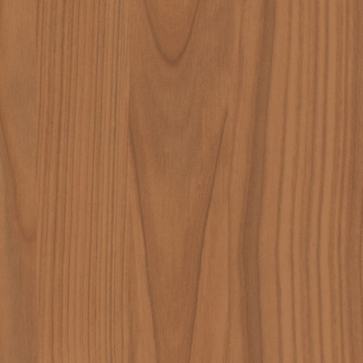 Wiśnia Locarno H1636/ST12