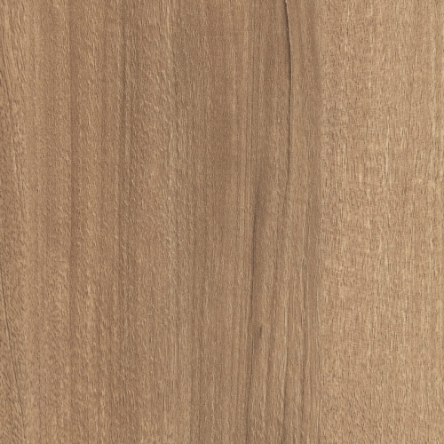 Orzech Pacyficzny Naturalny H3700/ST10