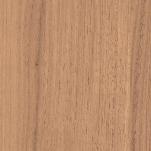 Orzech Parona H1715/ST12