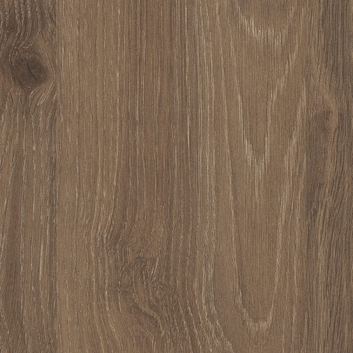 Dąb Davos Truflowy H3133/ST12