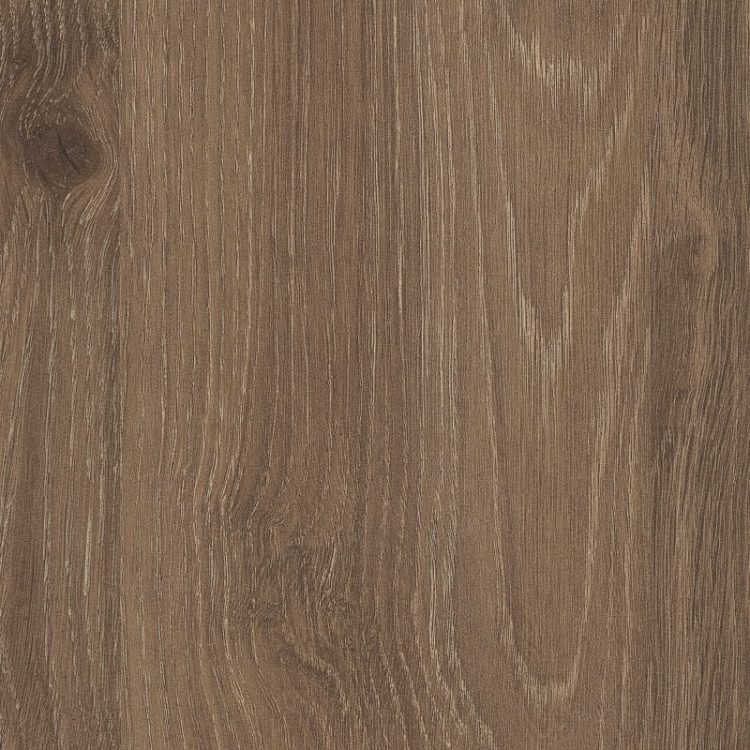 Dąb Davos Truflowy H3133/ST12