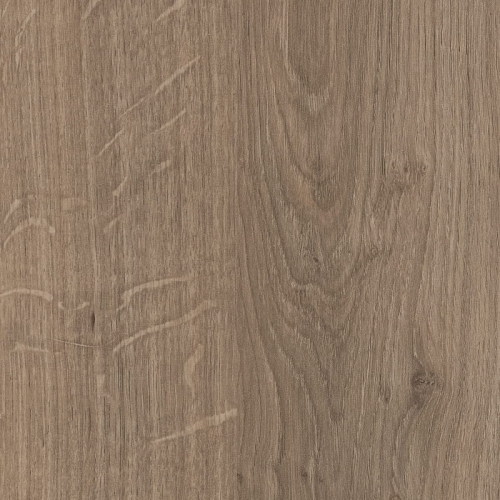 Dąb Denver Truflowy H1399/ST10