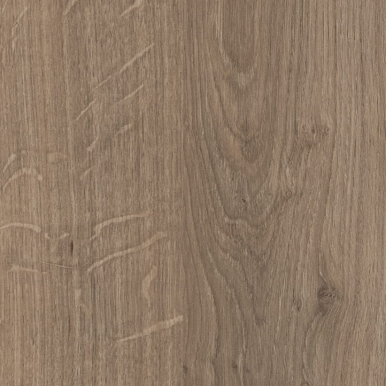 Dąb Denver Truflowy H1399/ST10