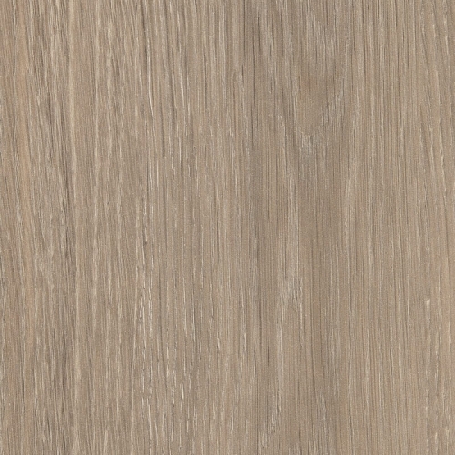 Dąb Lorenzo Szarobeżowy H3146/ST19