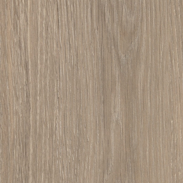 Dąb Lorenzo Szarobeżowy H3146/ST19