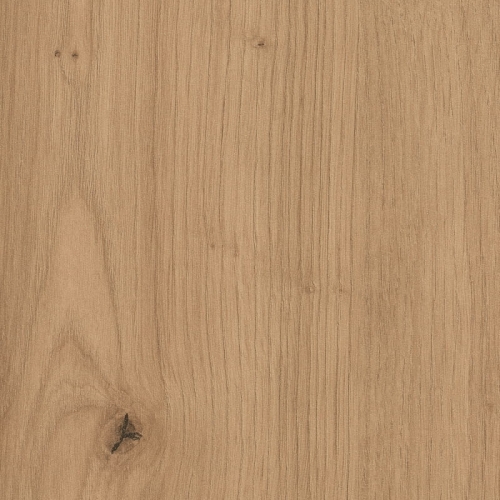 Dąb Dziki Naturalny H1318/ST10