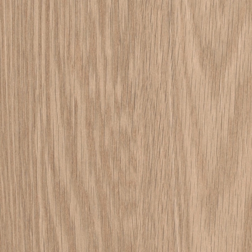 Dąb Baronia Jasny H1362/ST12