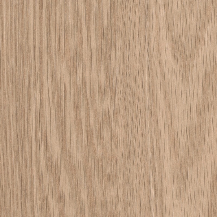 Dąb Baronia Jasny H1362/ST12