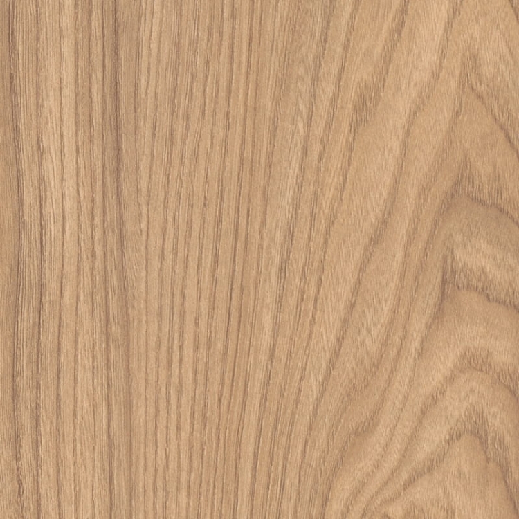 Akacja Sheffeld Naturalna H1242/ST10