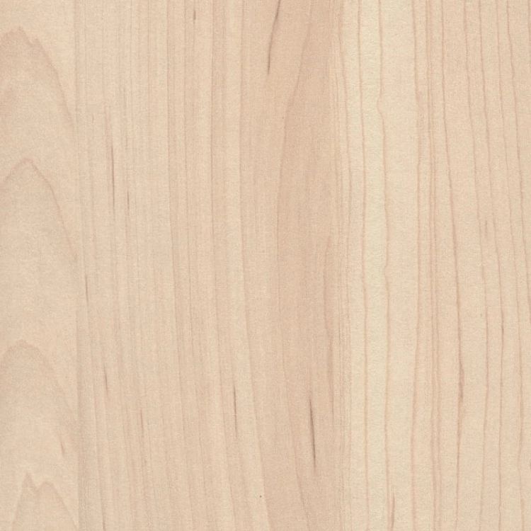 Klon Hard Szampański H3860/ST9