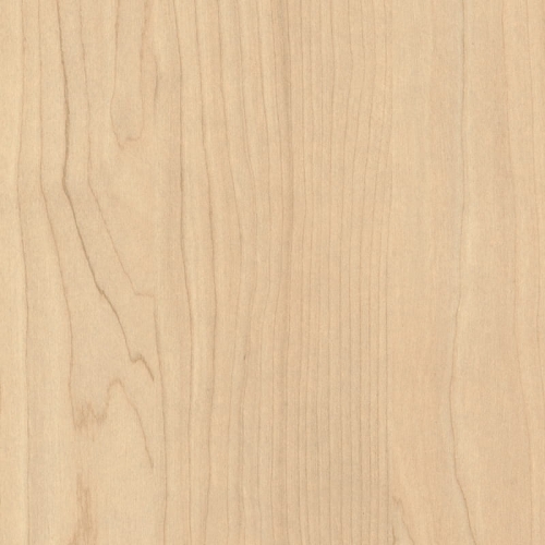 Brzoza Piaskowa H1732/ST9