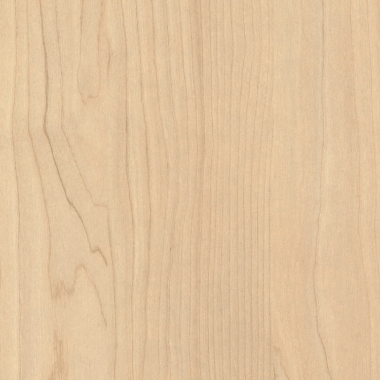 Brzoza Piaskowa H1732/ST9