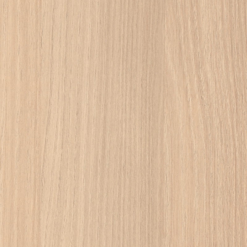 Akacja Lakeland Jasna H1277/ST9