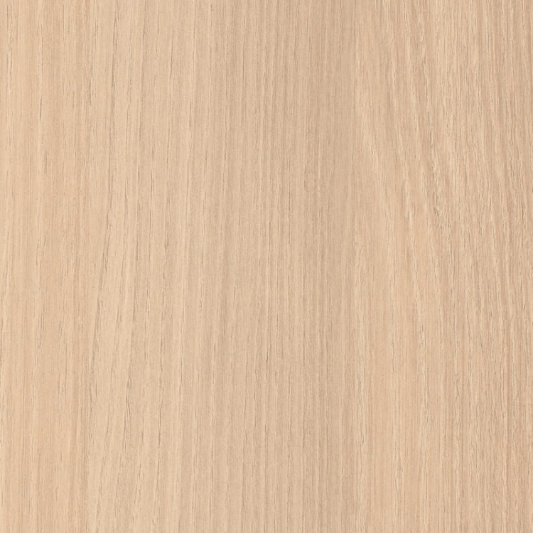 Akacja Lakeland Jasna H1277/ST9