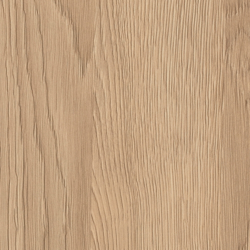 Dąb Gladstone Piaskowy H3309/ST28