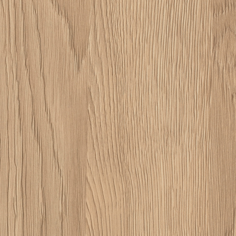 Dąb Gladstone Piaskowy H3309/ST28