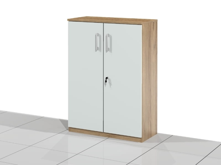 Szafa biurowa ELF-SSS zamykana na zamek