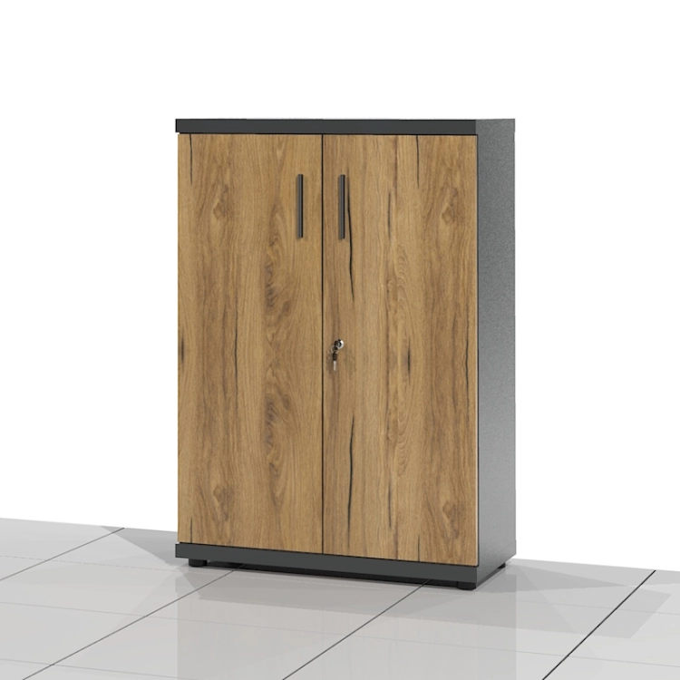 Szafa gabinetowa BOSS-SSSX