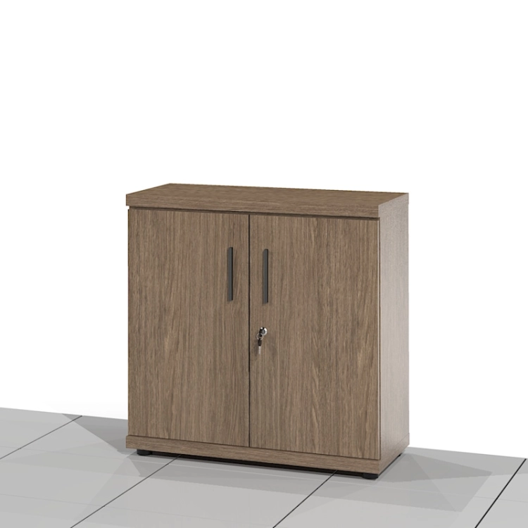 Szafa gabinetowa BOSS-SSNX