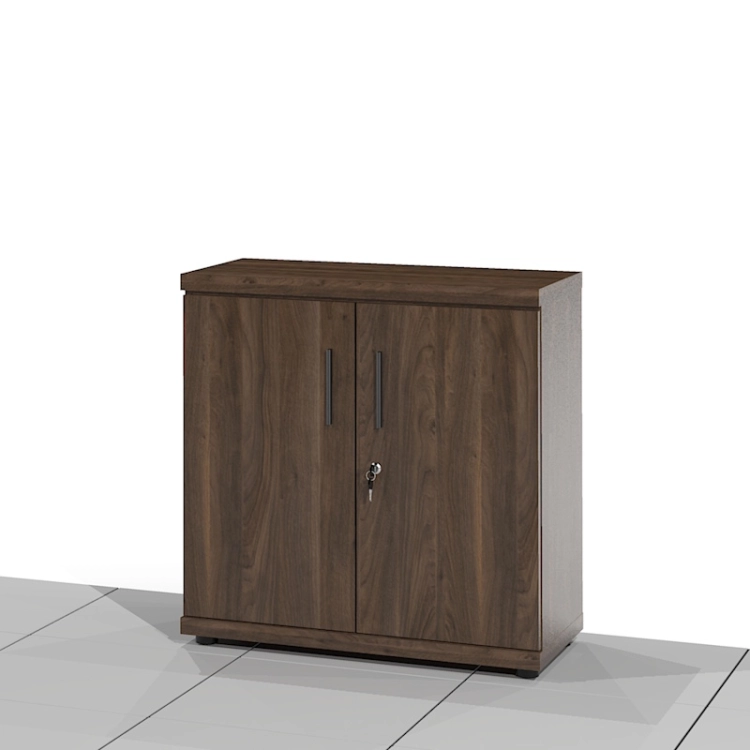 Szafa gabinetowa BOSS-SSNX