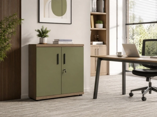 Szafa gabinetowa BOSS-SSNX