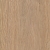 KR Dąb Londyn D3798