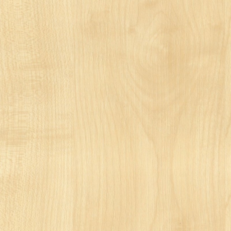 KR Klon naturalny D375