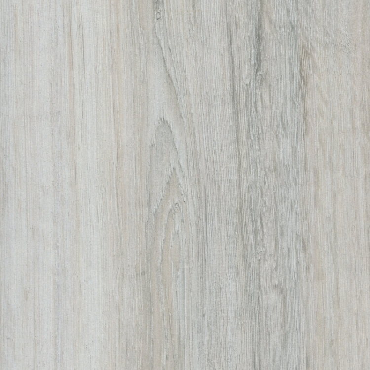 KR Dąb cortona D3275